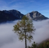 Wanderung Nationalfeiertag Signalkogel