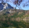 Wanderung Nationalfeiertag Signalkogel