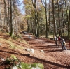 Wanderung Nationalfeiertag Signalkogel