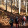 Wanderung Nationalfeiertag Signalkogel