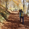 Wanderung Nationalfeiertag Signalkogel