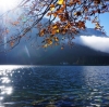 Wanderung Nationalfeiertag Signalkogel