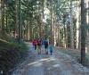 Familienwanderung Steineck