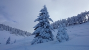 Leichte Schneeschuhwanderung, 17.12.2016